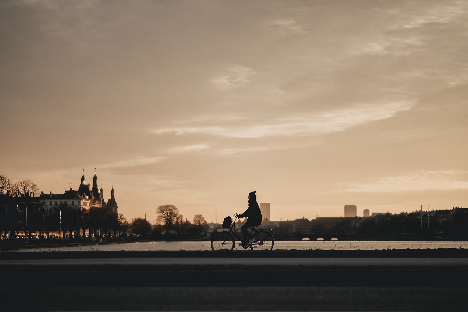 febiyan-ObVJJZNBxLg-unsplash